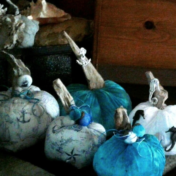 Meet your Posher, Robin - Picture 8 of 8